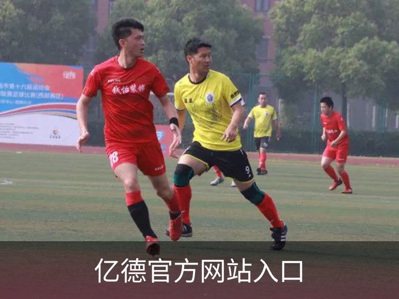 关于亿德官方网站入口